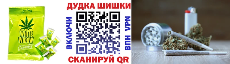 Canna-Cookies марихуана Купить Строитель