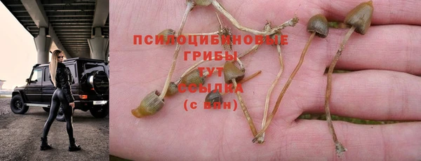 круглые Аркадак