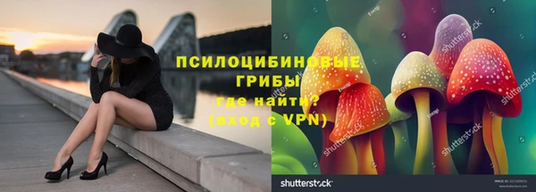 гашик Армянск