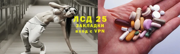 круглые Аркадак