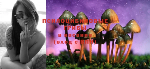 круглые Аркадак