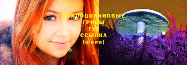 гашик Армянск