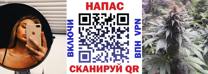Купить закладки  Строитель  Бошки марихуана планчик 